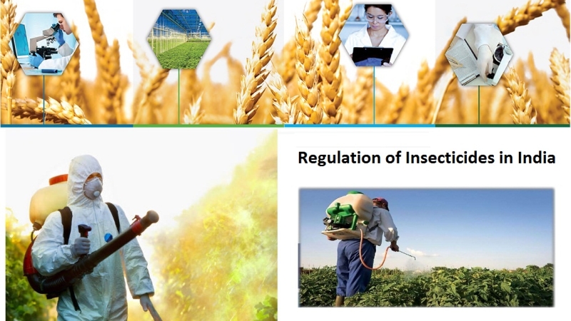 Regulation of Insecticides in India, online registration of pesticides