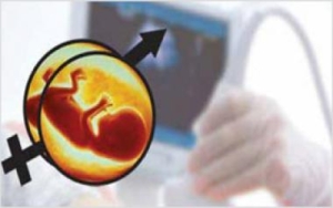 PC & PNDT Approval for Ultrasound Import into India