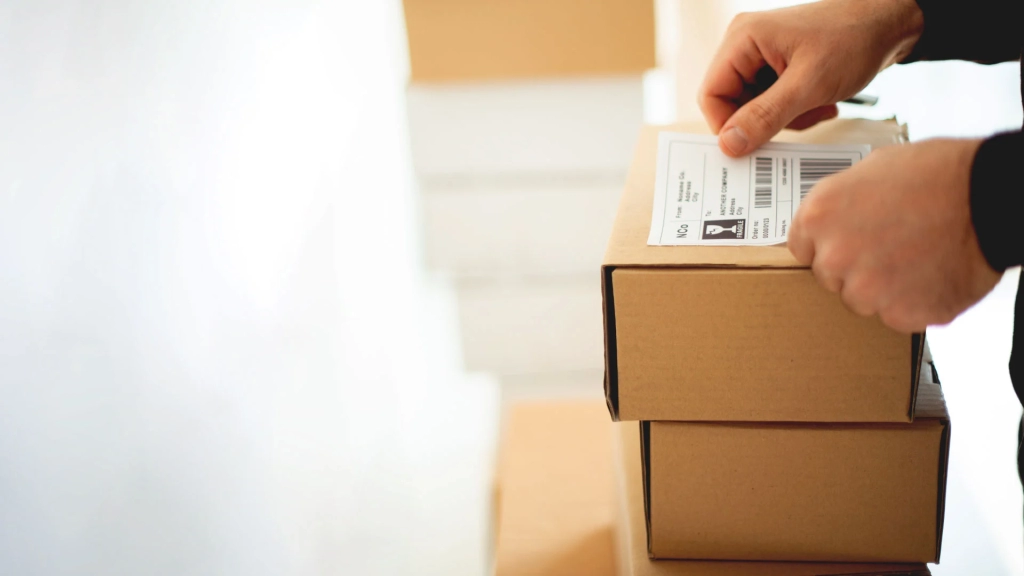 Medical device labeling